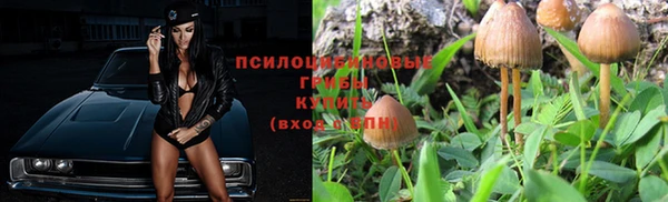 эйфоретик Волосово